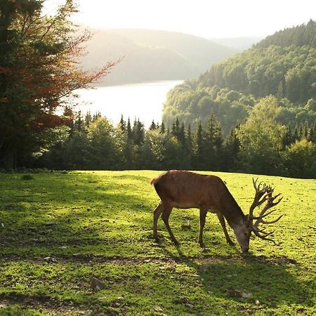 Moderne Ferienwohnung Im Herzen Des Nationalparks Hellenthal Zewnętrze zdjęcie
